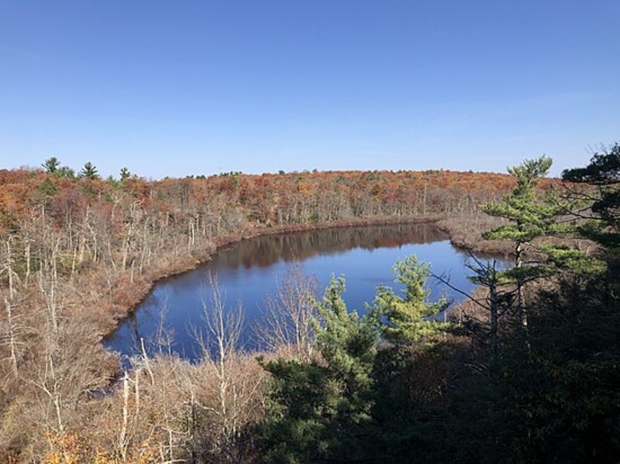 Abram S. Hewitt State Forest