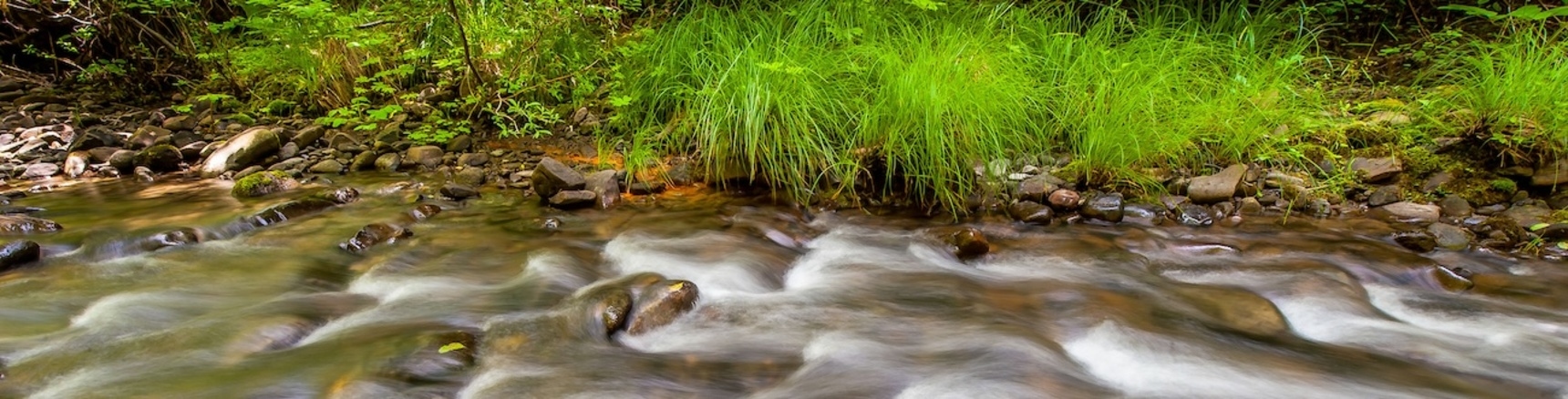 Admiral William Standley State Recreation Area