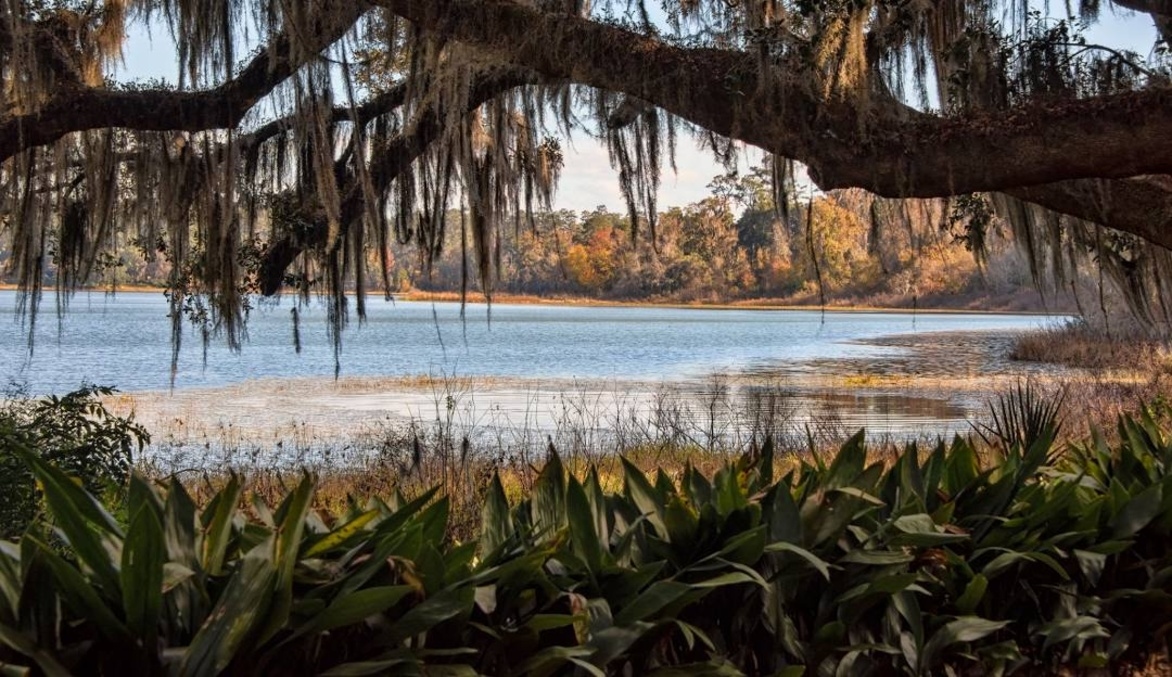 Alfred B. Maclay Gardens State Park