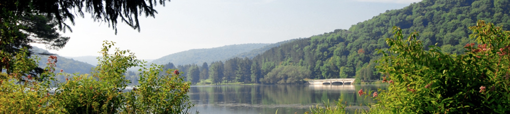 Allegany State Park - Red House Area