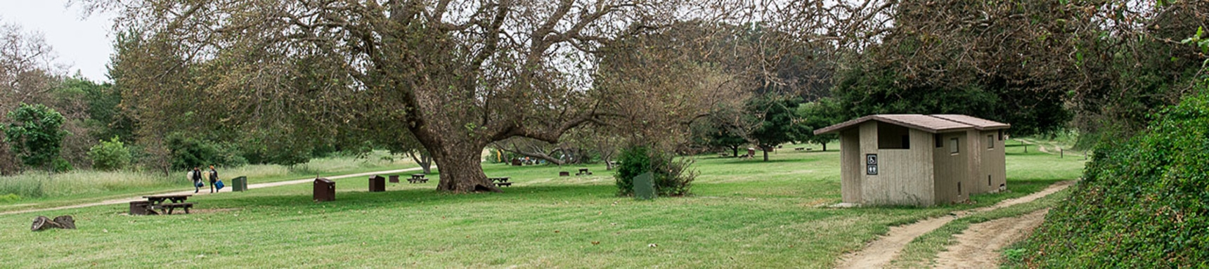 Andrew Molera State Park