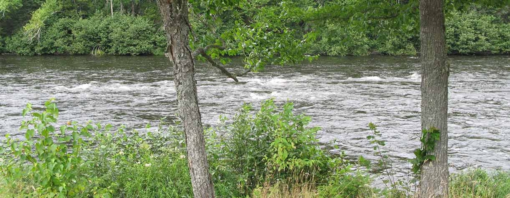 Androscoggin Wayside Park