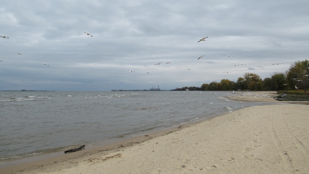 Bay City State Park