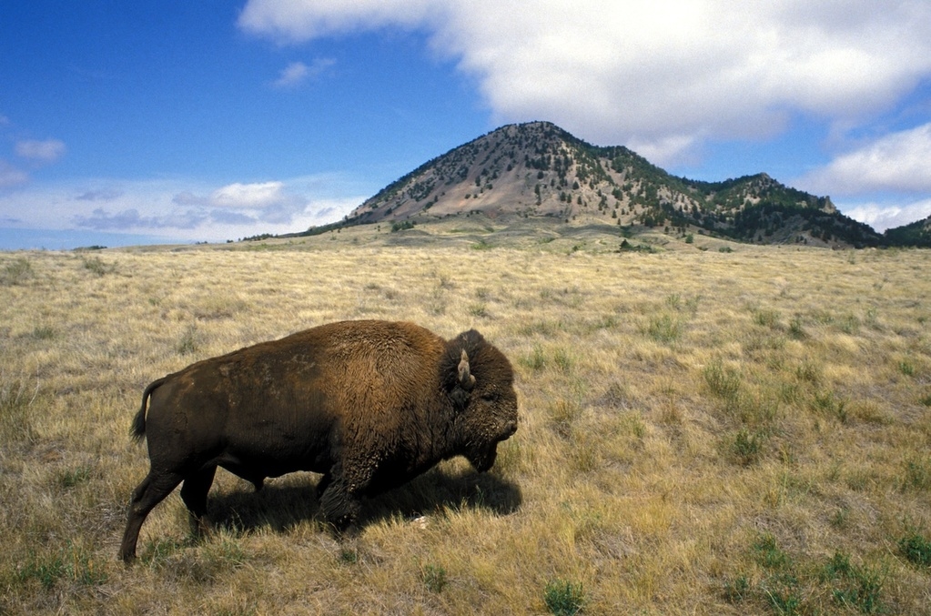 Bear Butte State Park Drive