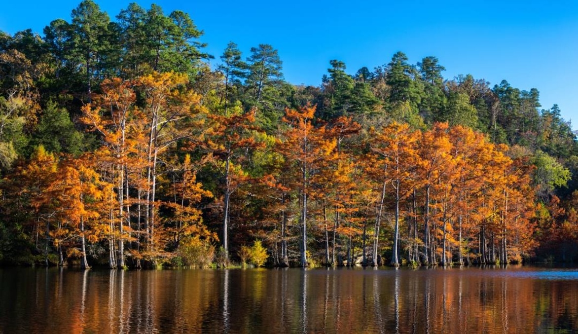 Beavers Bend State Park and Nature Center