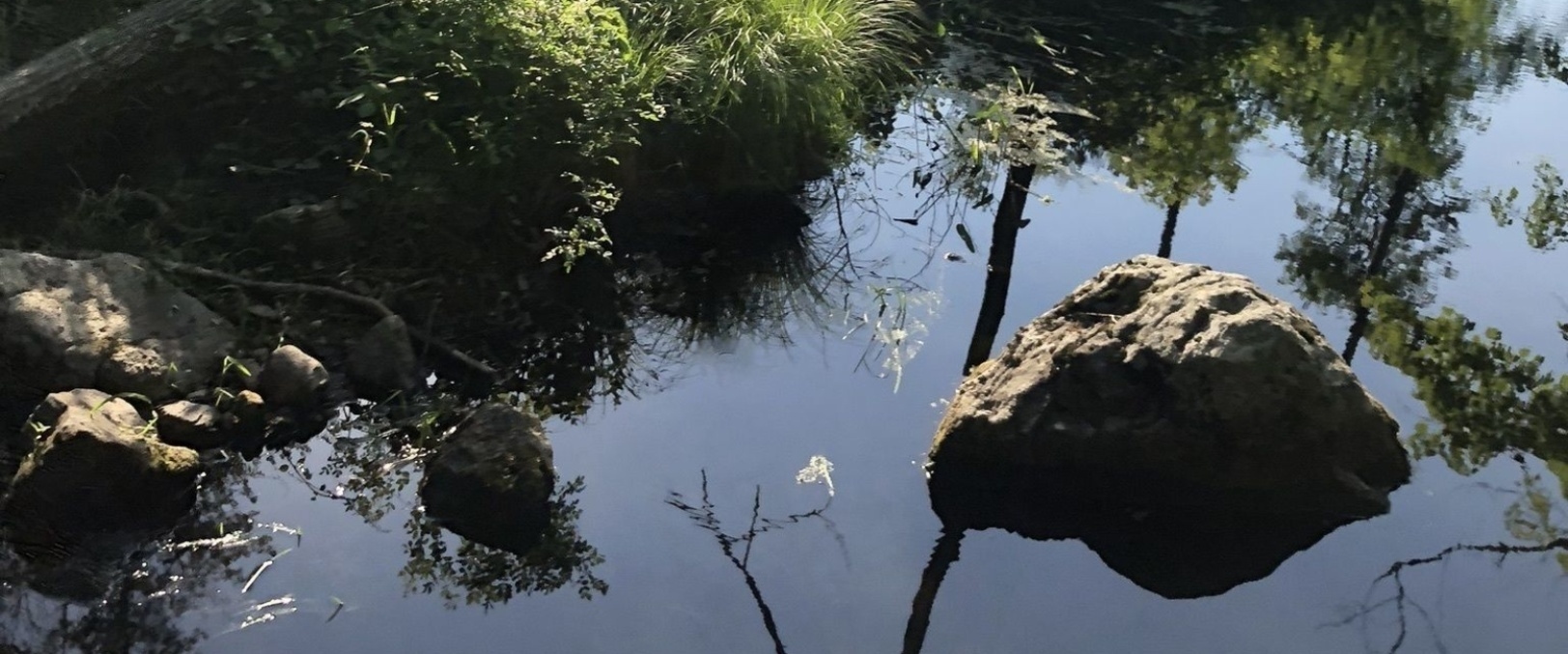 Bennett's Pond State Park