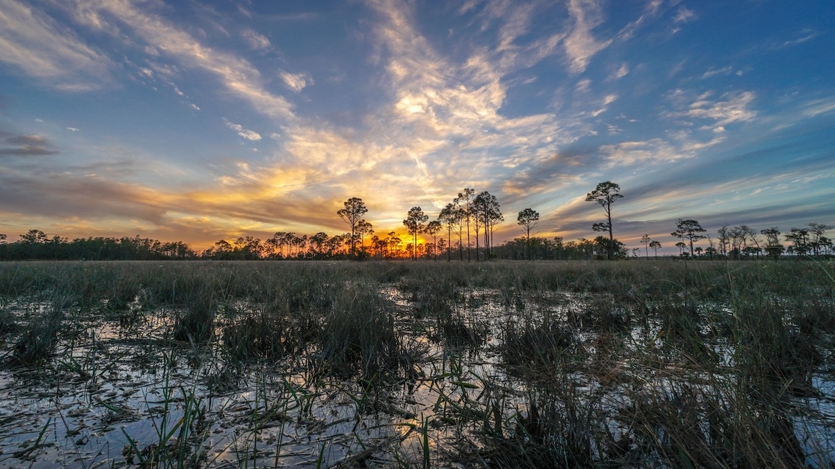 Big Cypress National Preserve