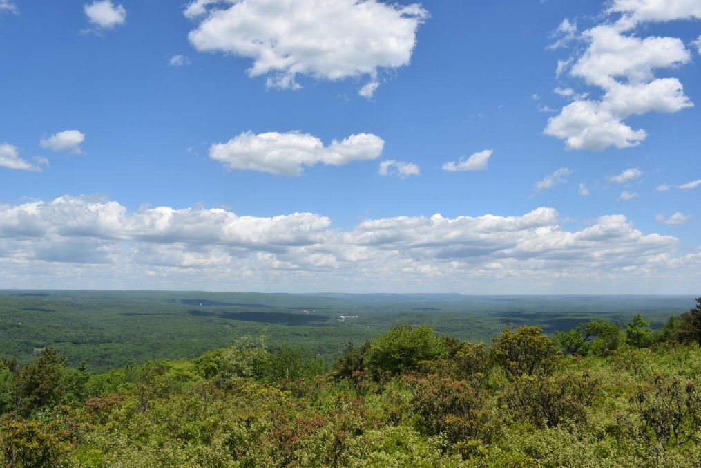 Big Pocono State Park