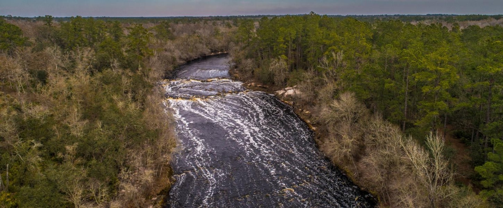 Big Shoals State Park