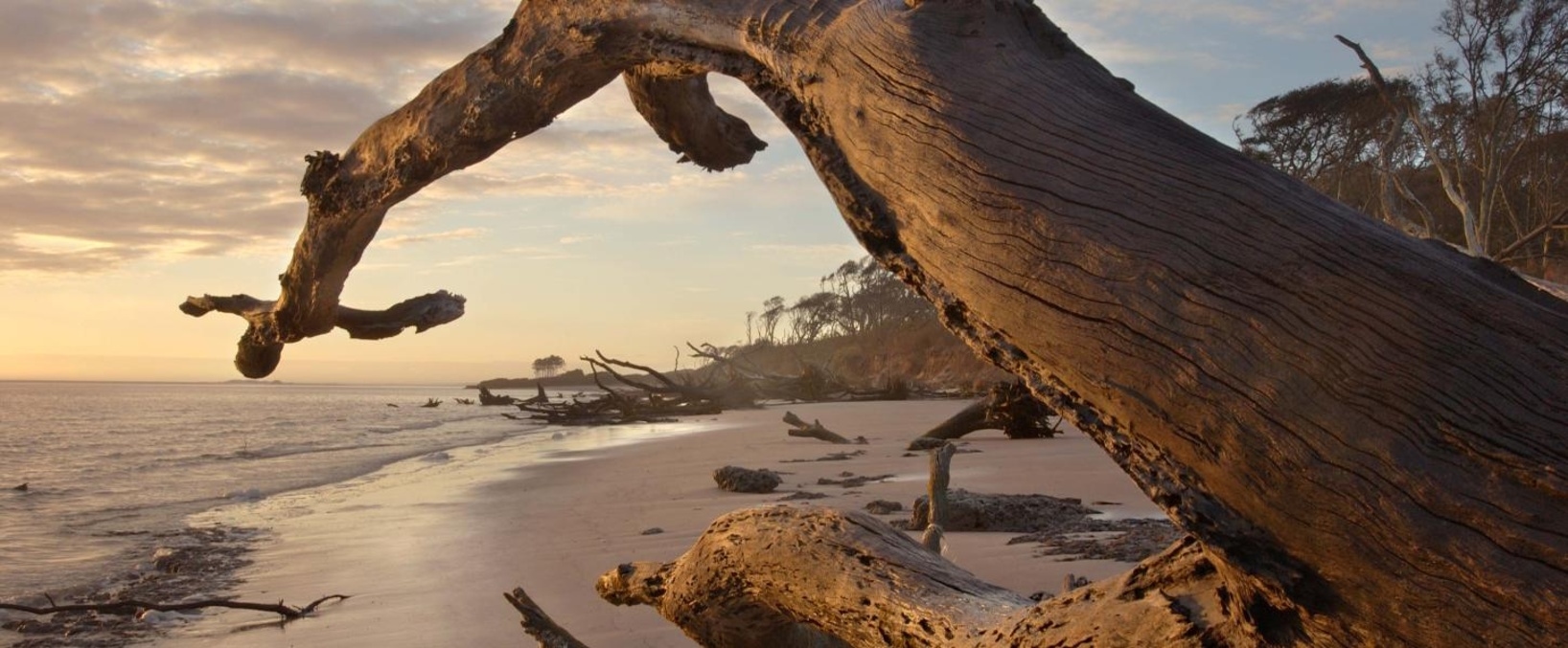 Big Talbot Island State Park