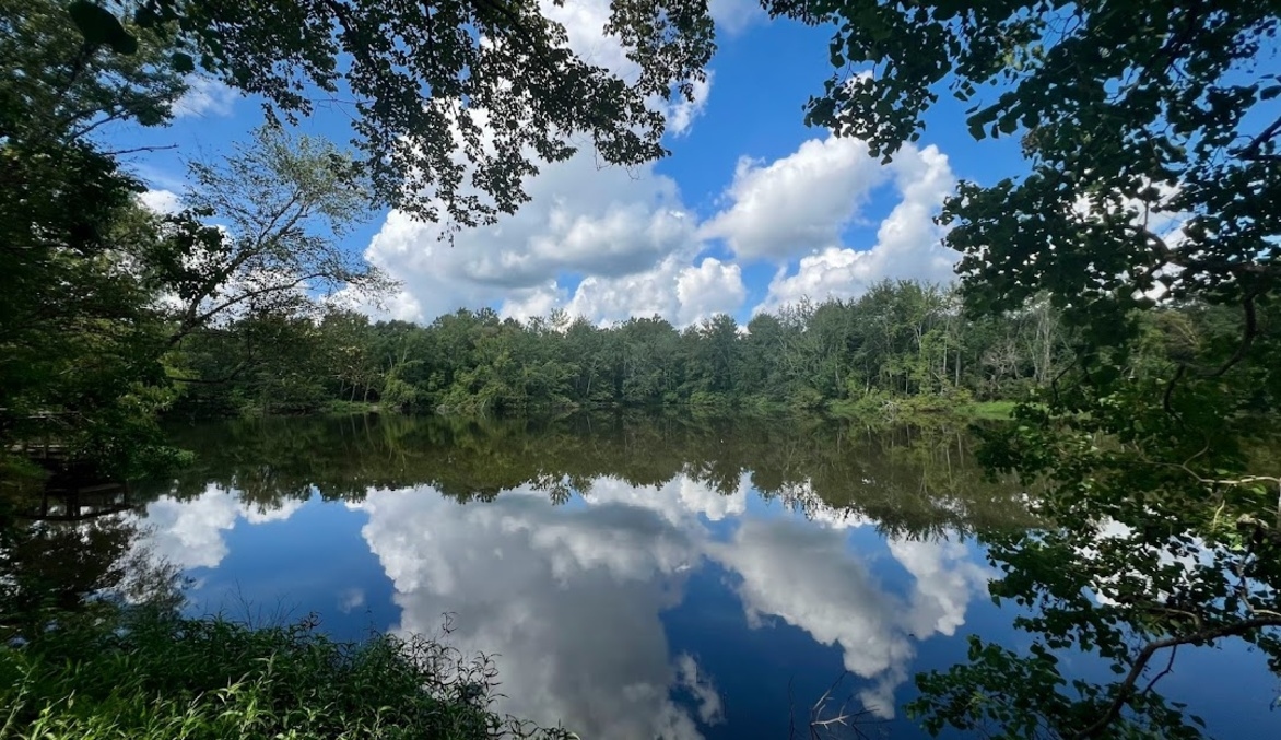 Bogue Chitto State Park