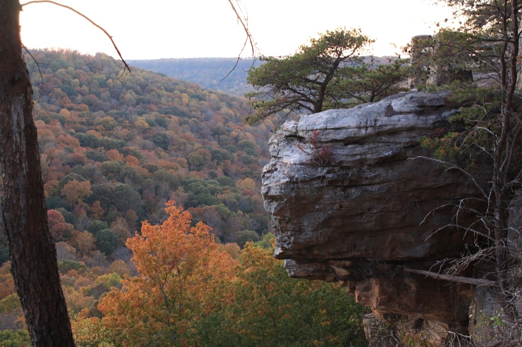 Buck's Pocket State Park