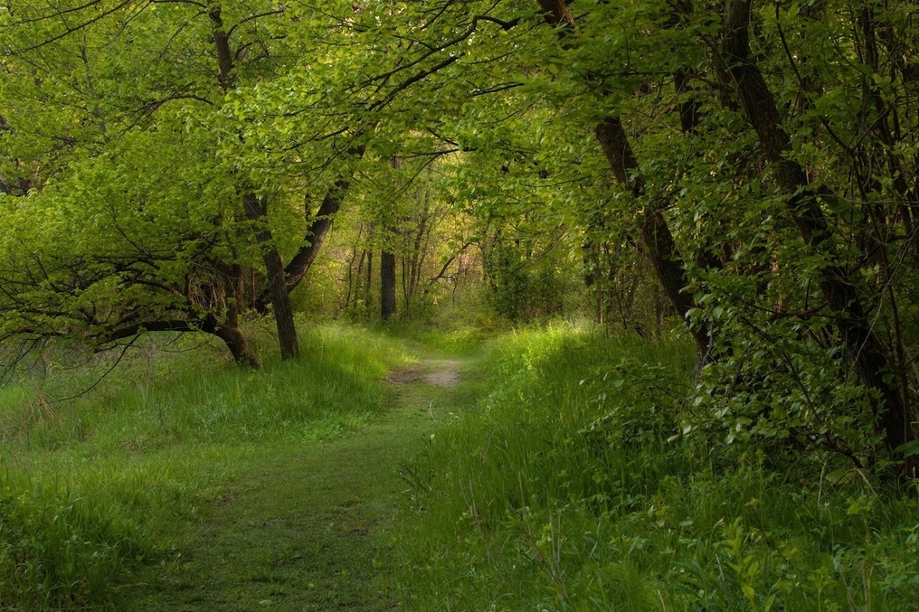 Buffalo River State Park