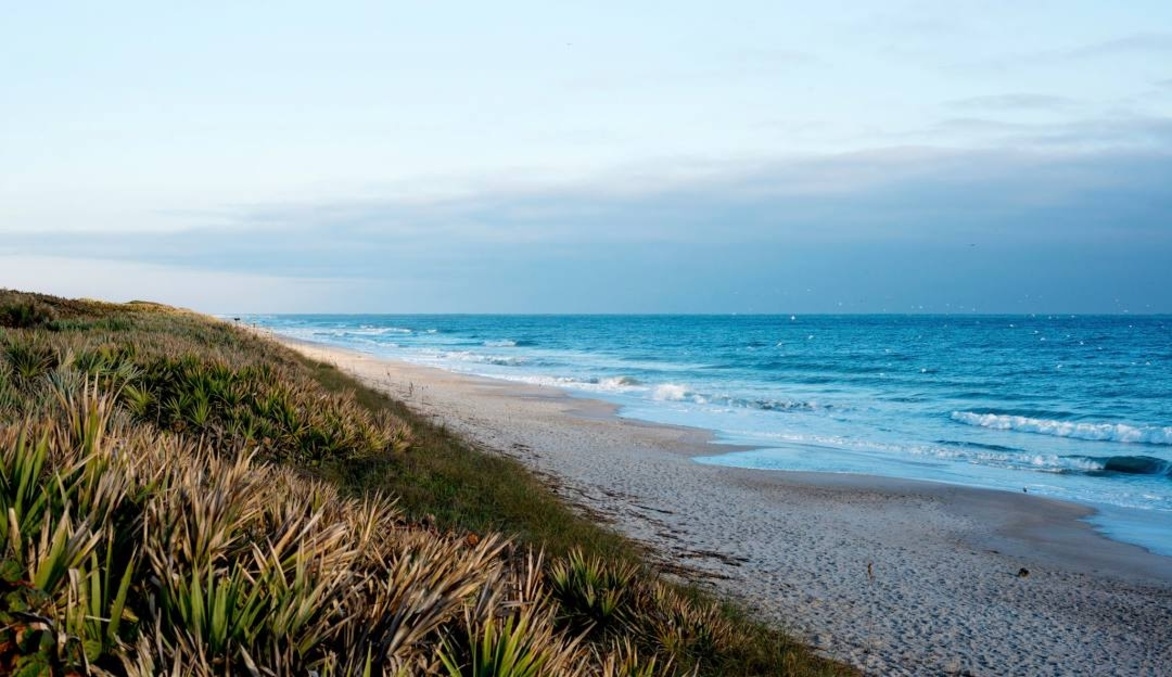 Canaveral National Seashore