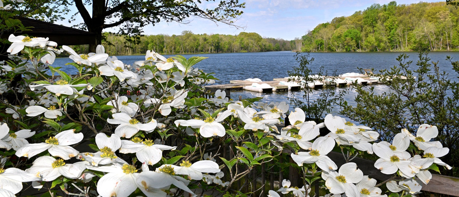 Chain O'Lakes State Park