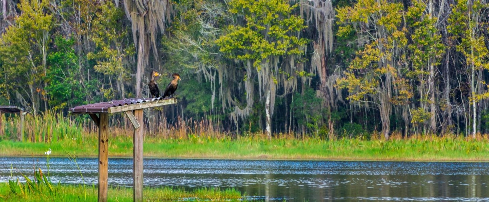 Colt Creek State Park