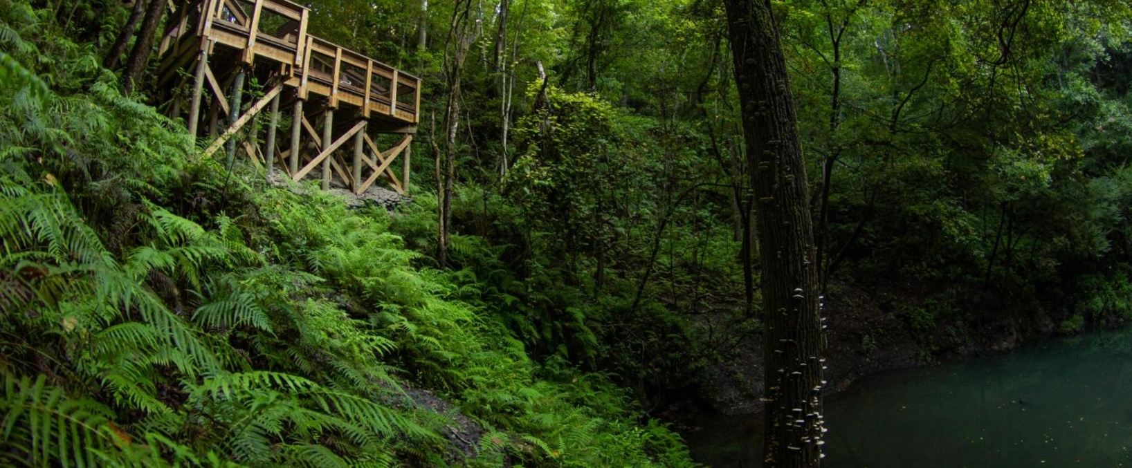 Devil's Millhopper Geological State Park