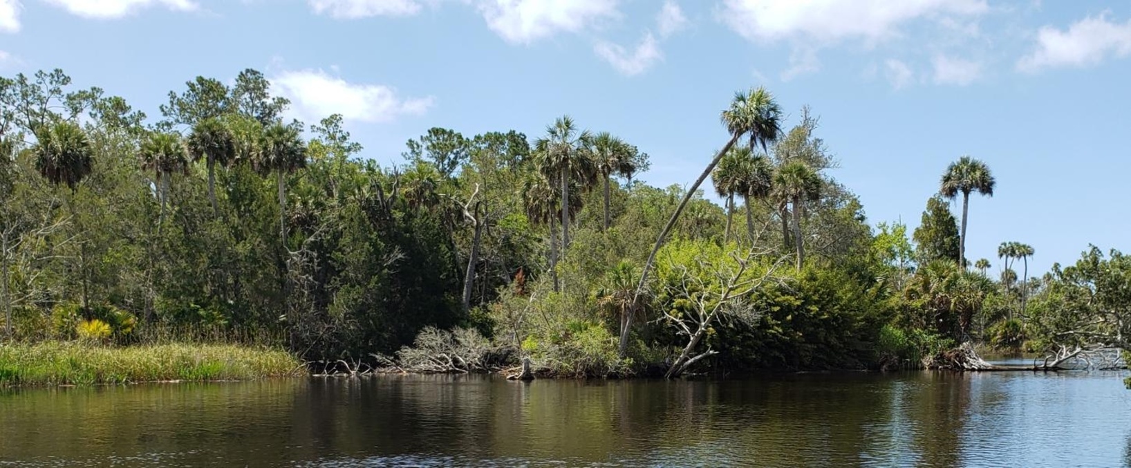 Econfina River State Park