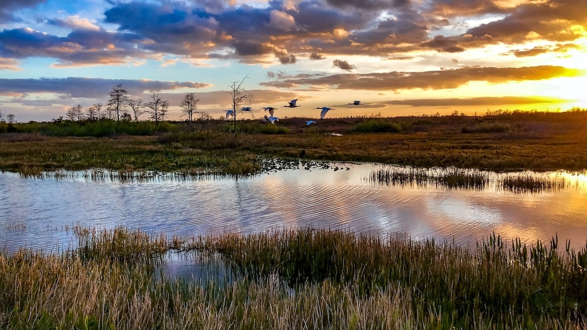 Everglades National Park