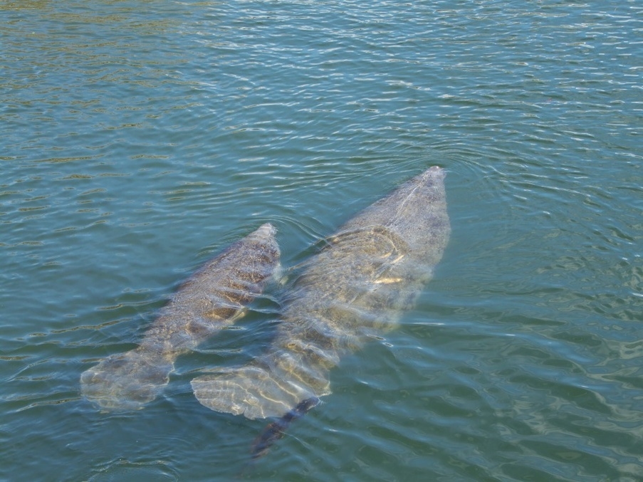 Fort Pickens State Park Aquatic Preserve