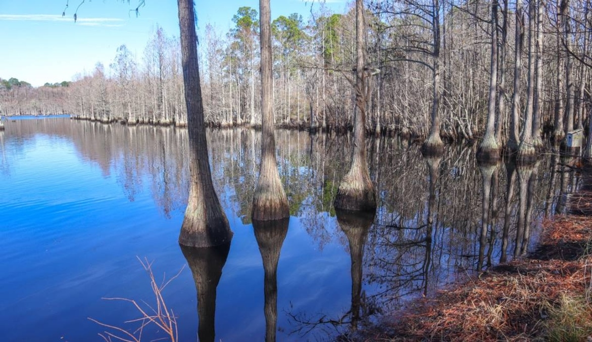 George L. Smith State Park