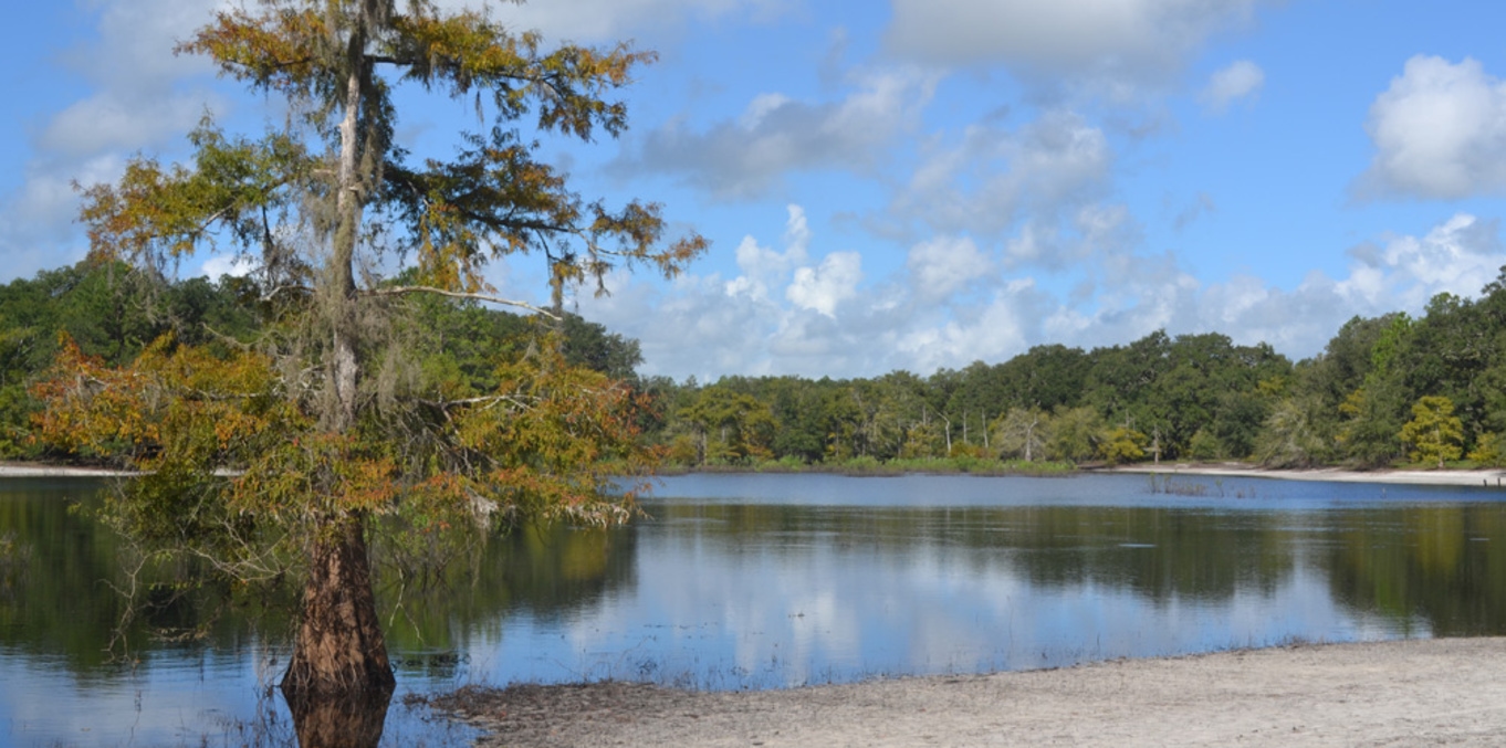 Indian Lake State Forest