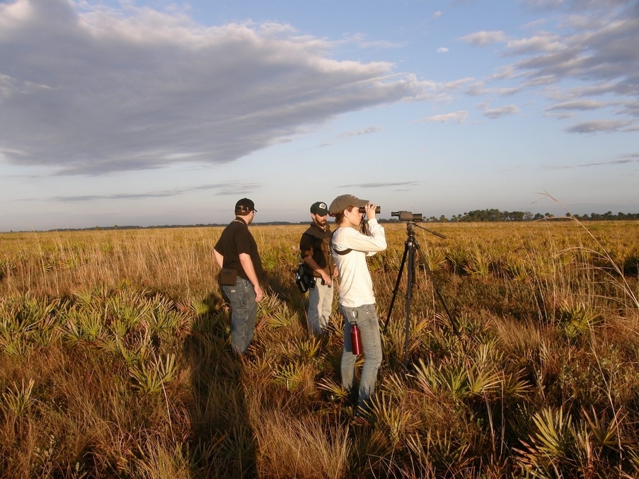 Kissimmee Prairie Preserve State Park