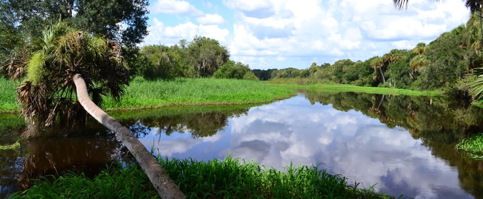 Myakka River State Park