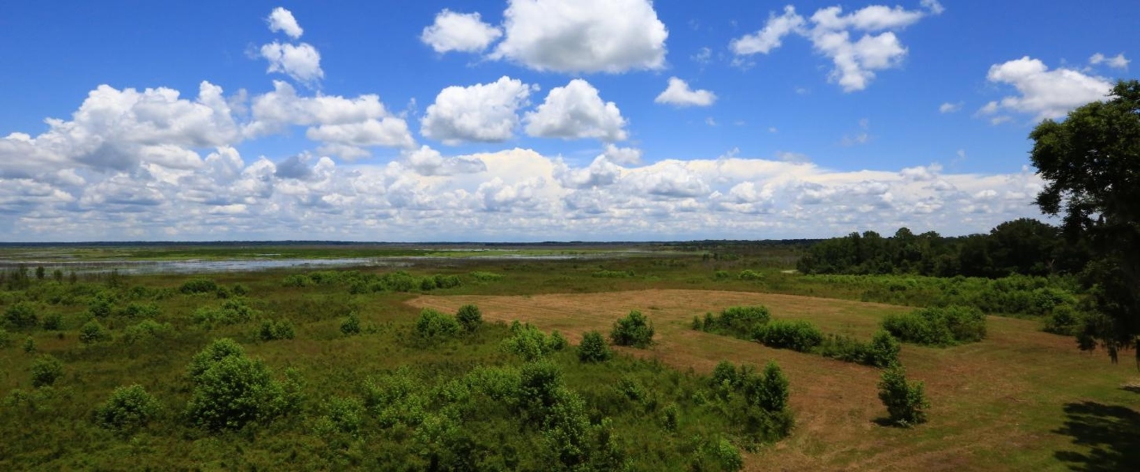 Paynes Prairie Preserve State Park