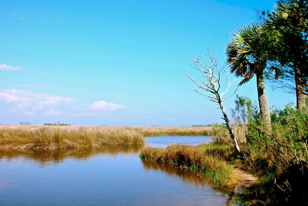 St. Marks National Wildlife Refuge