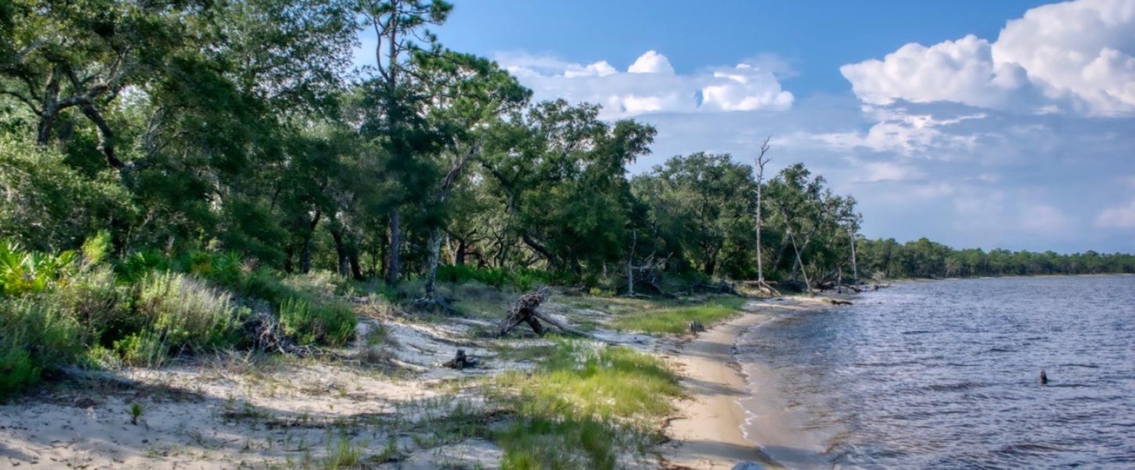 Tarkiln Bayou Preserve State Park