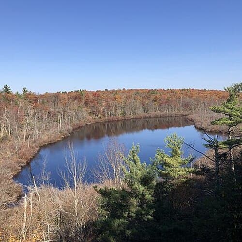 Abram S. Hewitt State Forest