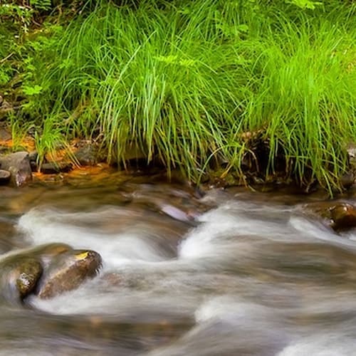 Admiral William Standley State Recreation Area