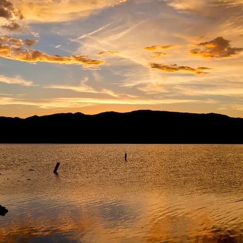 Alamo Lake State Park