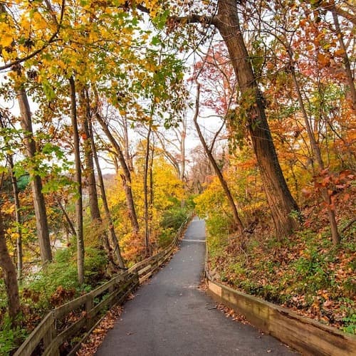 Alapocas Run State Park