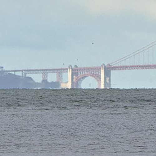 Albany State Marine Reserve