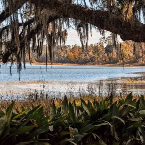 Alfred B. Maclay Gardens State Park