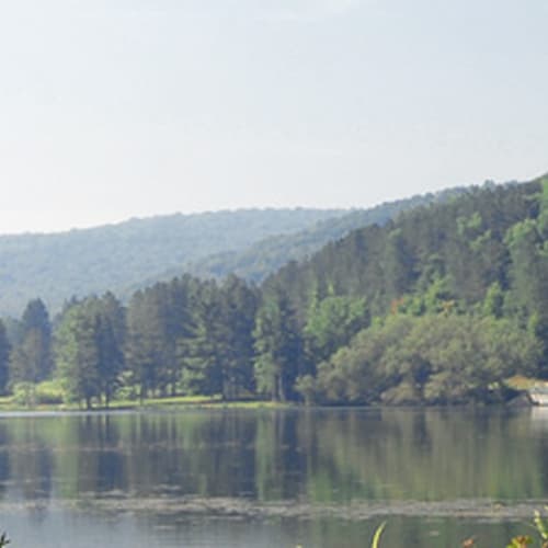 Allegany State Park - Red House Area