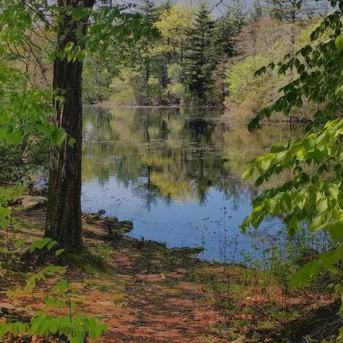 Ames Nowell State Park