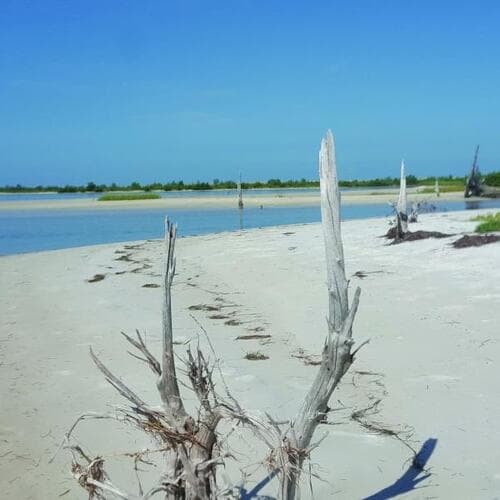 Anclote Key Preserve State Park