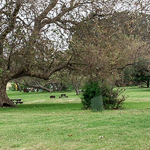 Andrew Molera State Park