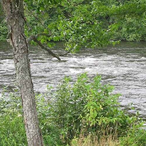 Androscoggin Wayside Park