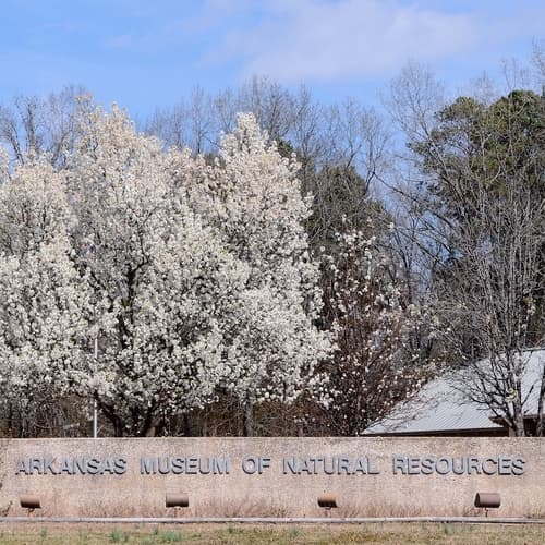 Arkansas Museum of Natural Resources