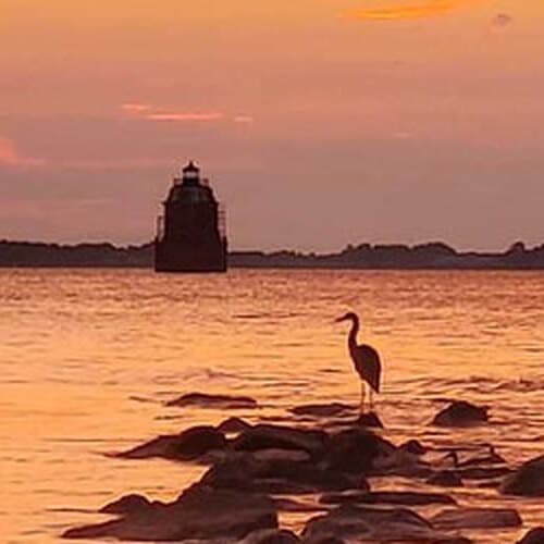 Assateague State Park