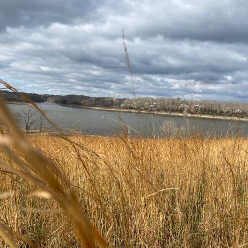 Barren River Lake State Resort Park