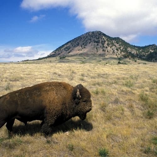 Bear Butte State Park Drive