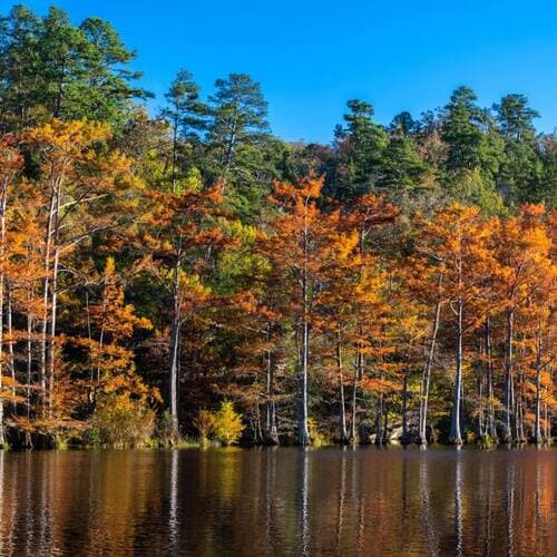 Beavers Bend State Park and Nature Center