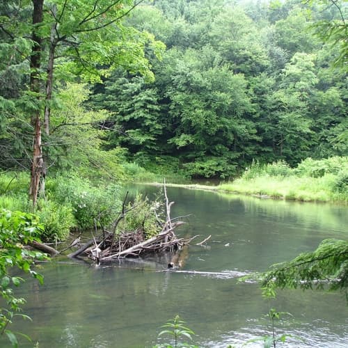 Bendigo State Park