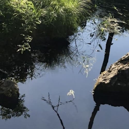 Bennett's Pond State Park