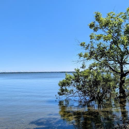 Bernice Area at Grand Lake State Park